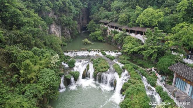 粉色浪漫来袭 广西南宁园博园粉黛花海迎秋盛放